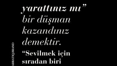 ️ Markalar ve Rekabetin Gerçek Yüzü Marka olmanın bedeli; herkese hoş görünmemek, herkes tarafından&hellip;