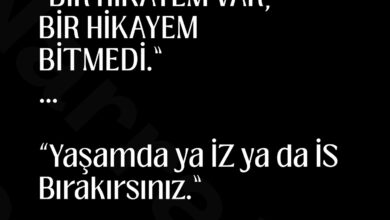 “Hikâyeler, onları anlatmayı bilen insanların başına gelir.” Paul Auster , 17:43 ındalıkyolculuğu
