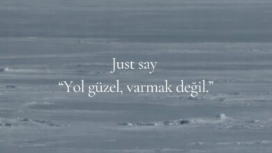Bazen varmak şart değ Yol güzeldir, yolda olmayı seversin! :) Sürü aynı yöne giderken,&hellip;