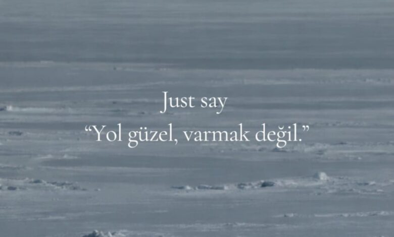 Bazen varmak şart değ Yol güzeldir, yolda olmayı seversin! :) Sürü aynı yöne giderken,…