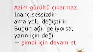 Gürültü çoksa, doğru yoldasındır. Sessizliğini koru. ındalıkyolculuğu