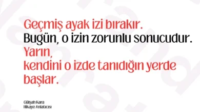 “Güçlü Ol” transaksiyonel sürücüsü, bireyin erken dönemde öğrendiği sessiz bir hayatta kalma stratejisidir. Mesaj&hellip;