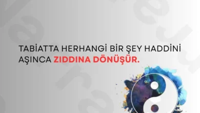 “Tabiatta herhangi bir şey haddini aşarsa, zıttına dönüşür.” Bu bir aforizma değil. Bu, hayatın…