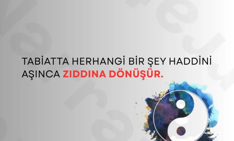 “Tabiatta herhangi bir şey haddini aşarsa, zıttına dönüşür.” Bu bir aforizma değil. Bu, hayatın…